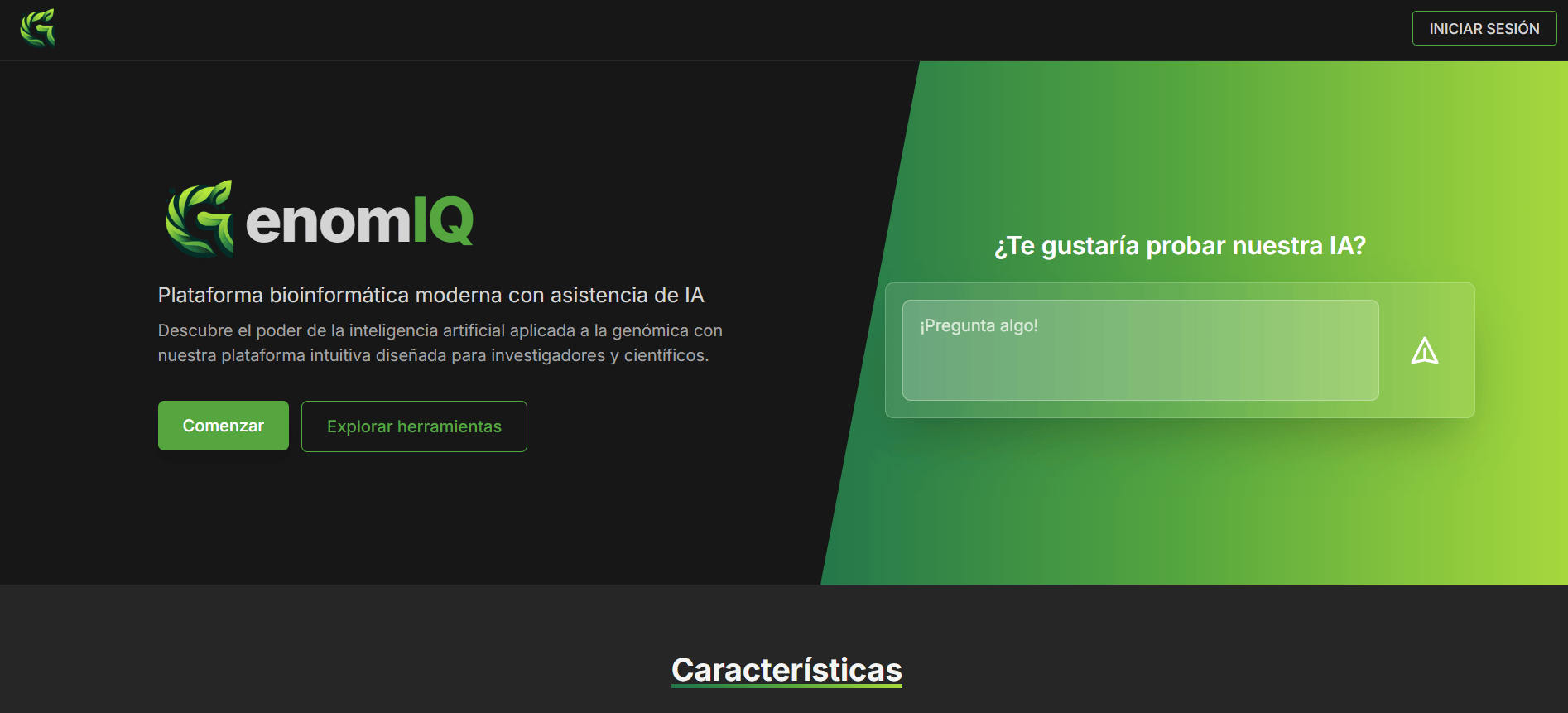 Accessibility & Localization